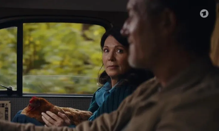 Mein Altweibersommer