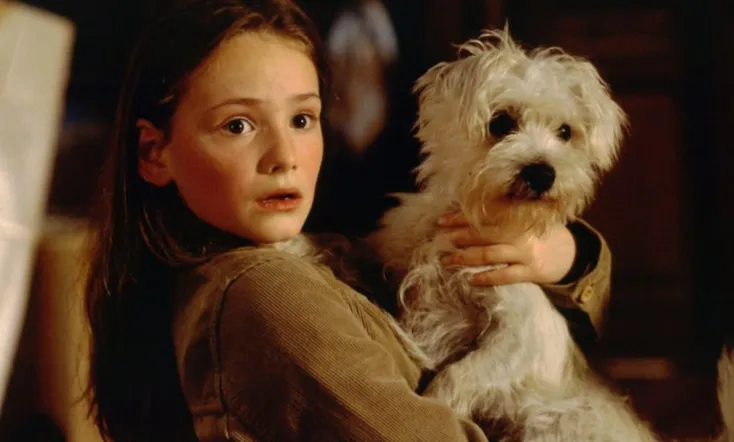 Mein Bruder ist ein Hund