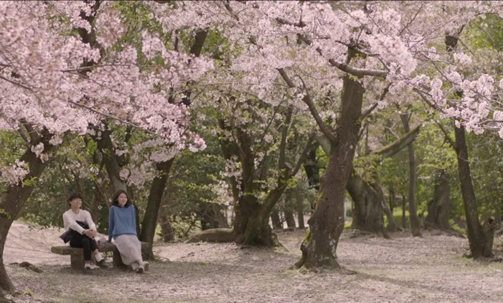 Memories of a Dead End