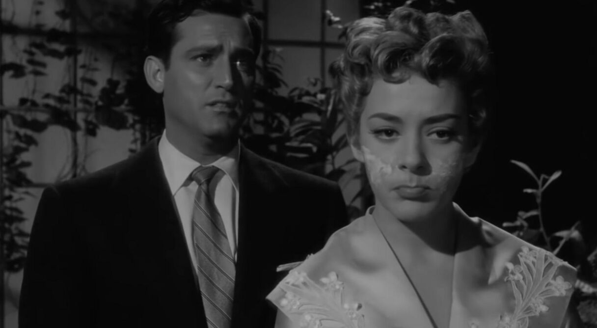 Mi desconocida esposa