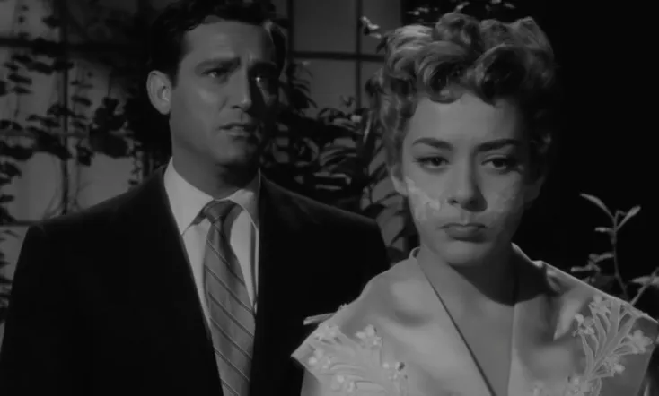 Mi desconocida esposa