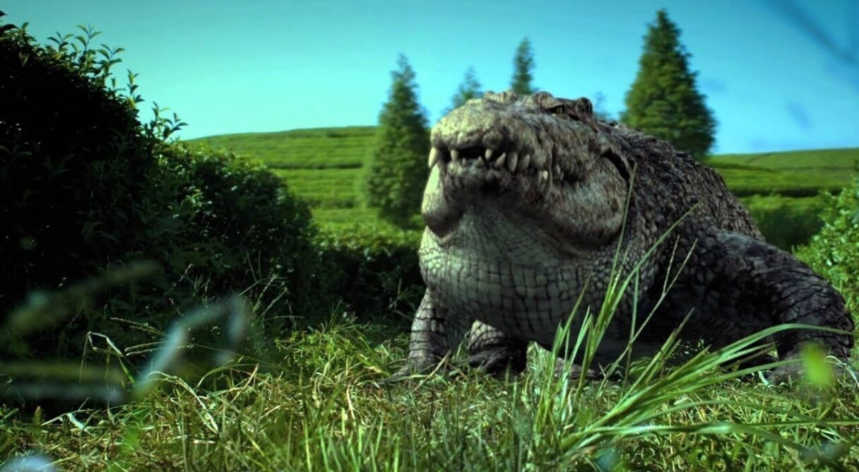 Million Dollar Crocodile