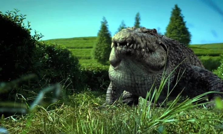 Million Dollar Crocodile