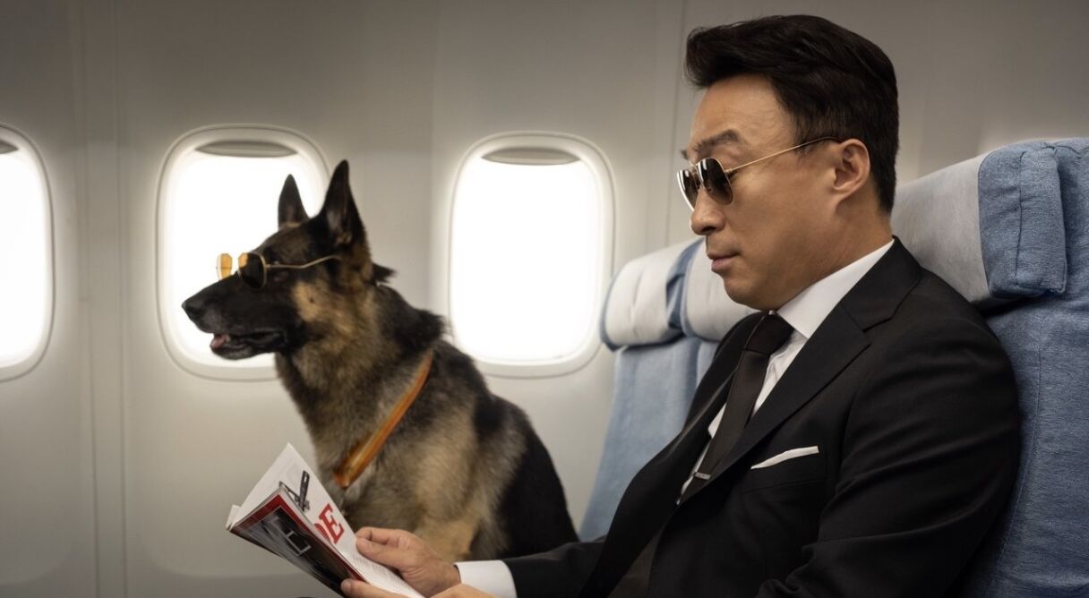 Mr. Zoo: The Missing VIP