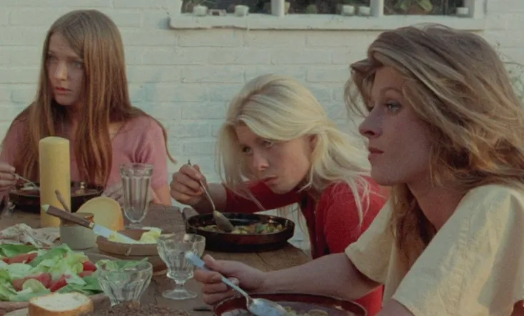 My Nights with Susan, Sandra, Olga & Julie