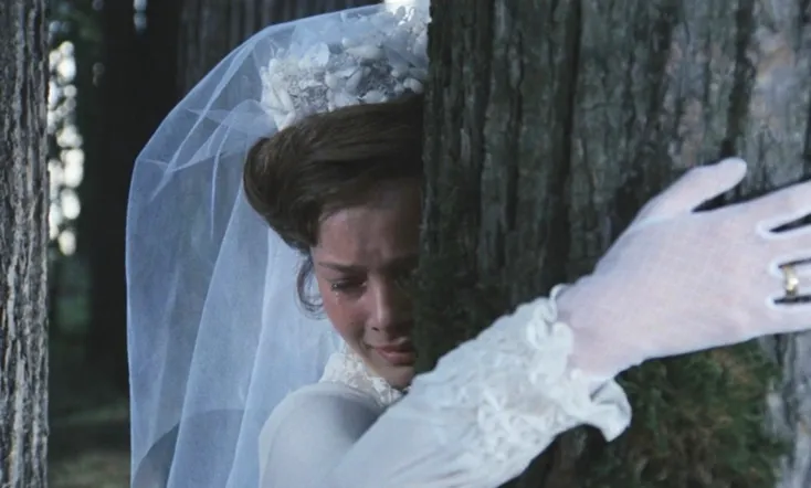 My Tender and Affectionate Beast