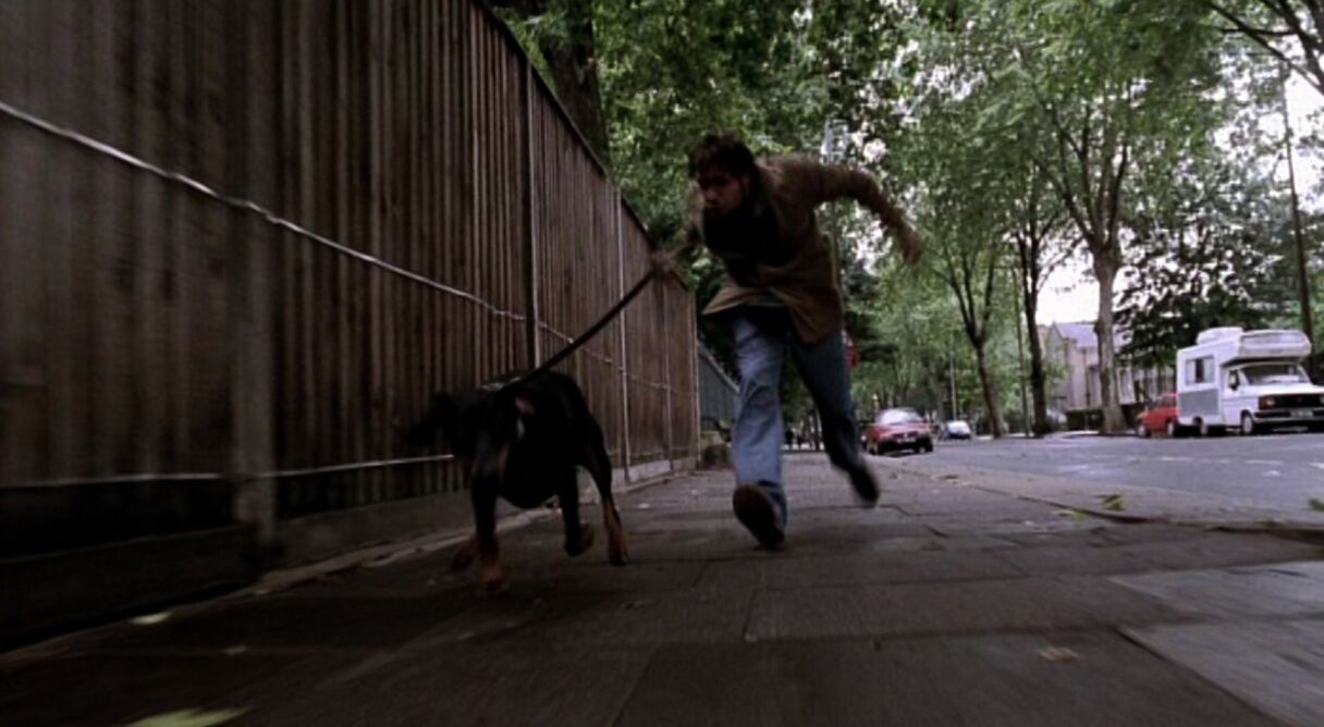 My Wrongs 8245–8249 & 117