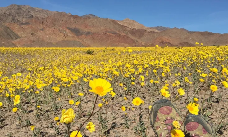 National Parks Exploration Series: Death Valley
