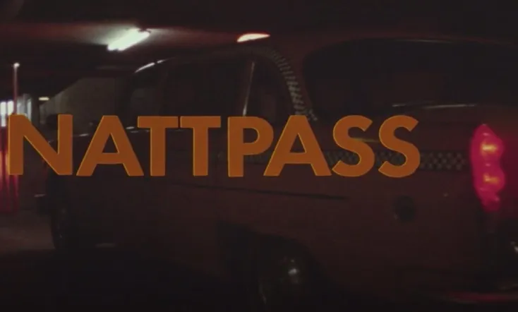Nattpass