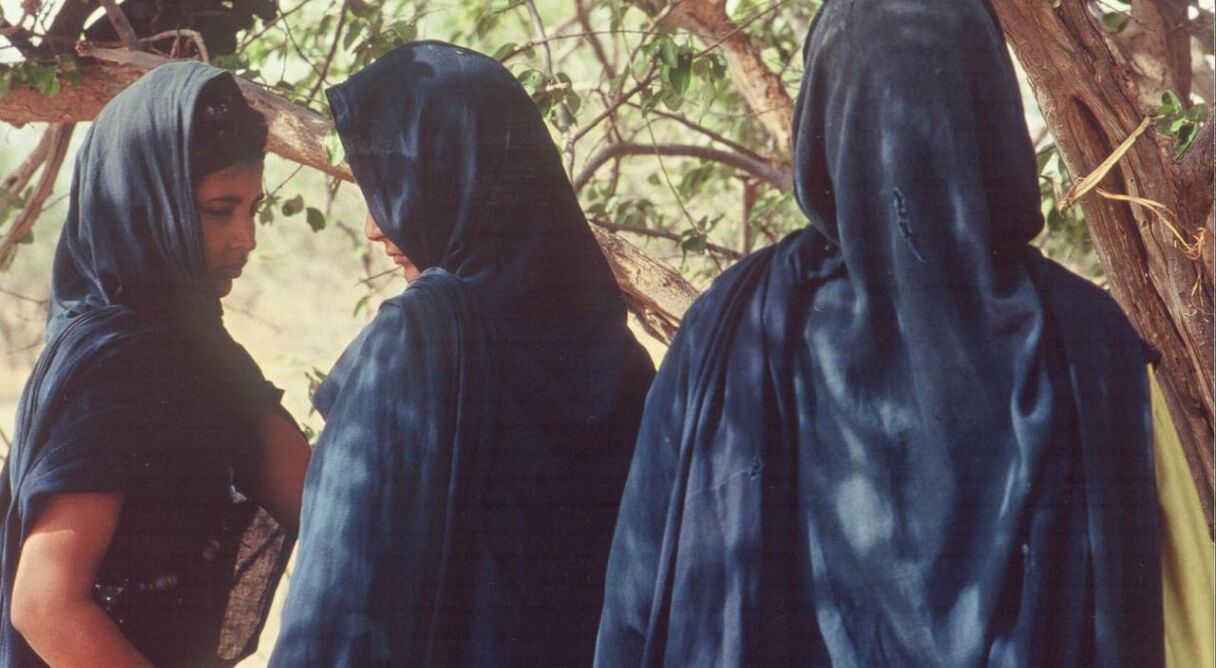 Nemadis, the Years Without News