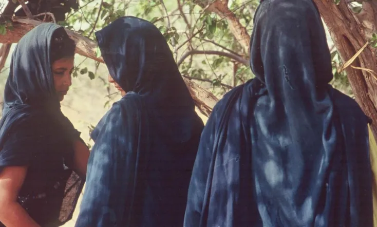 Nemadis, the Years Without News