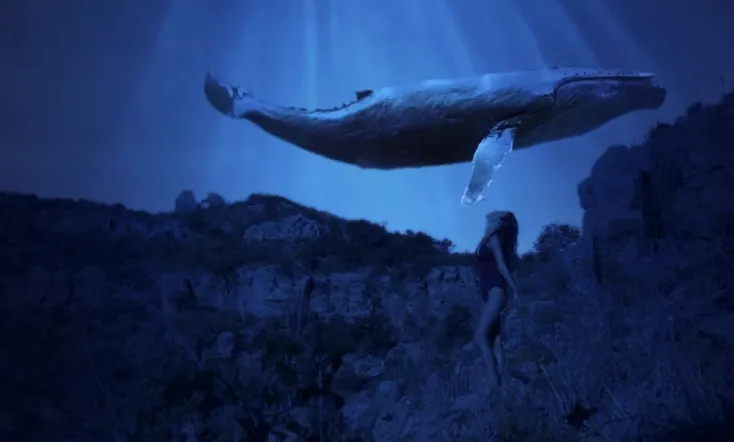 NEO Sertão Capítulo II: Profecia