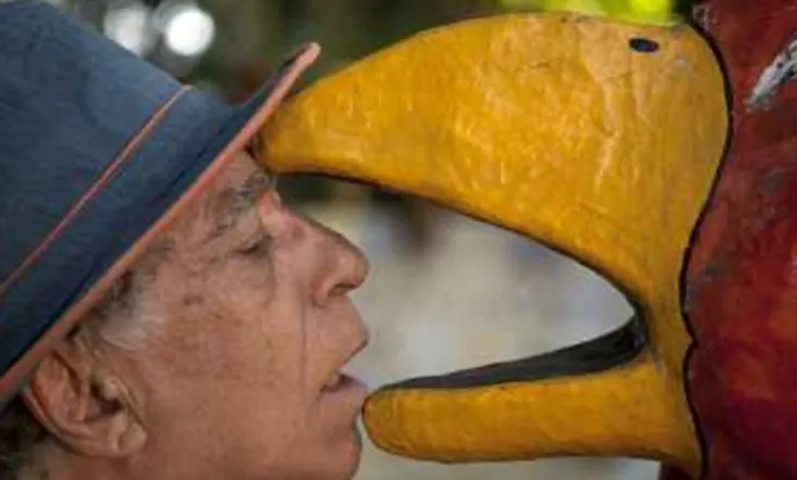 Neville D'Almeida: Chronicler of Beauty and Chaos