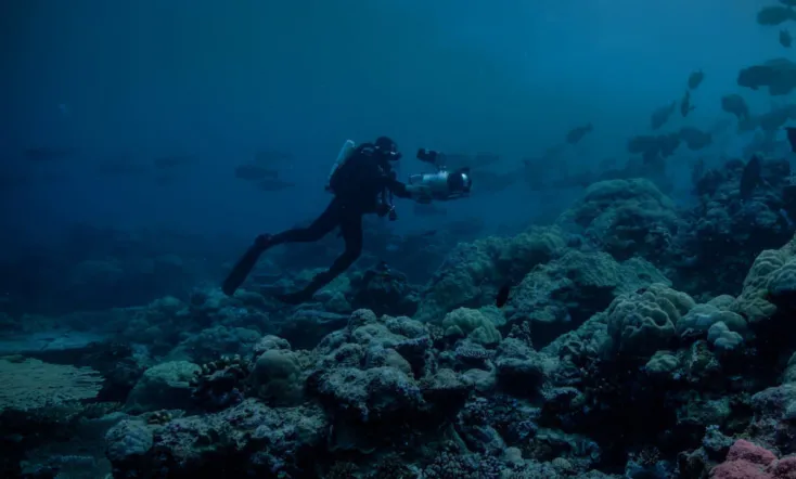 Night on Earth: Shot in the Dark