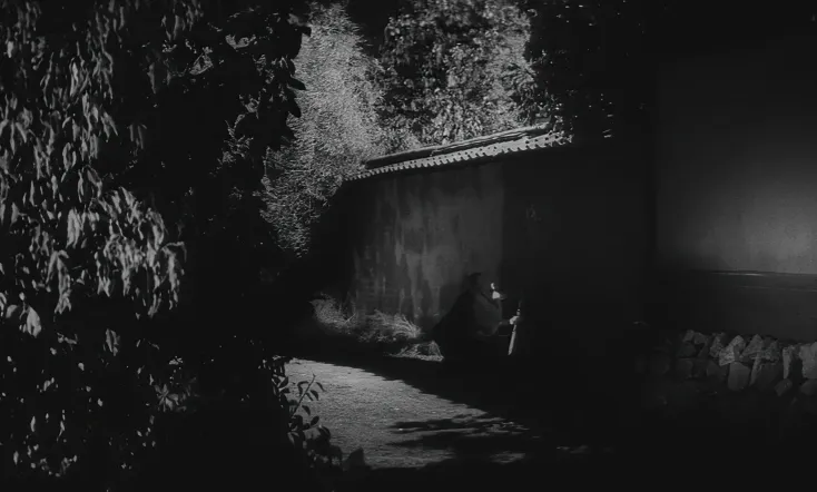 Ninja, a Band of Assassins