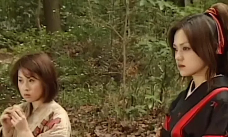 Ninja Vixens: Devilish Angels