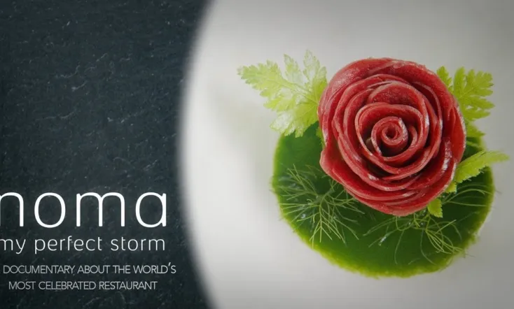 Noma: My Perfect Storm