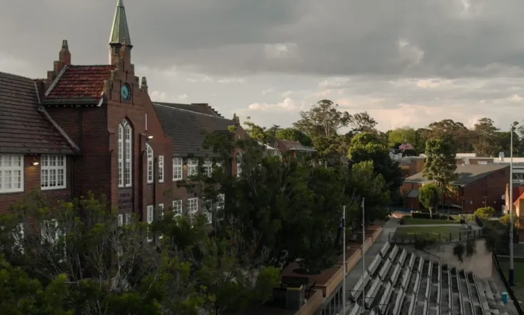 Now Tell Me What You See