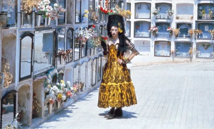 Ocaña: An Intermittent Portrait