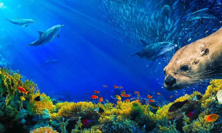 Oceans: Our Blue Planet