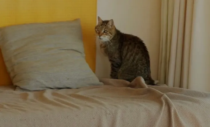 Où en êtes-vous, Jean-Marie Straub ?