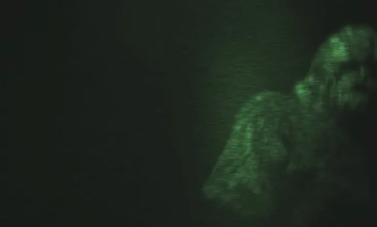 On the Trail of Bigfoot: The Journey