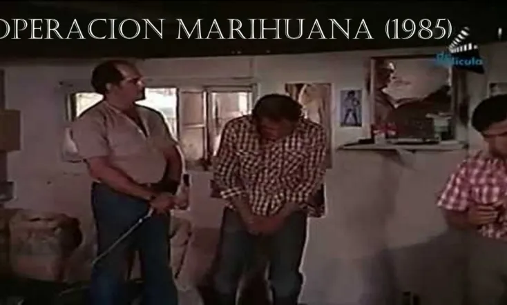 Operacion marihuana