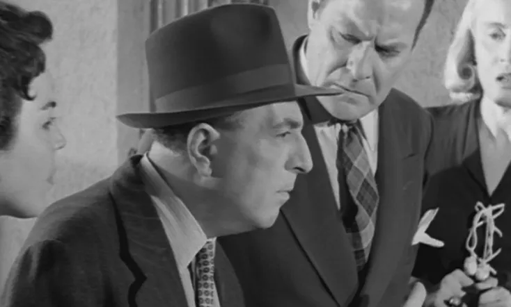 Ο Ζηλιαρόγατος