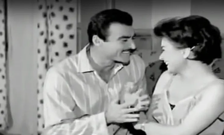 غصن الزيتون