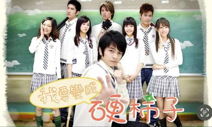 I Want to Become a Hard Persimmon