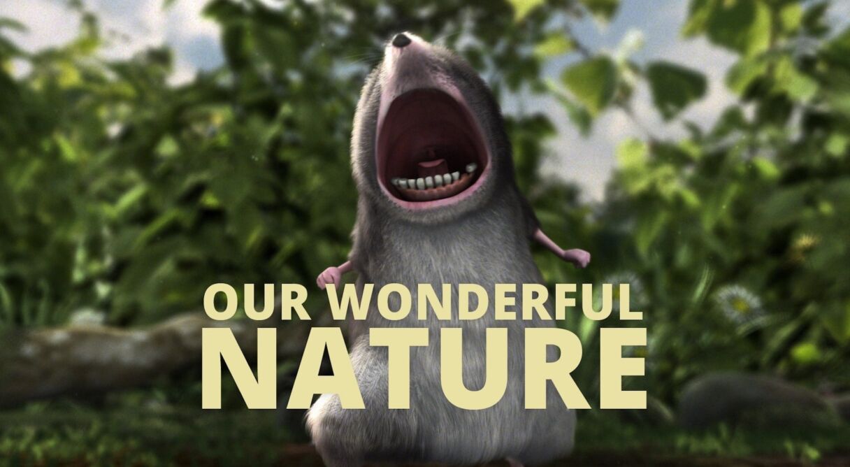 Our Wonderful Nature