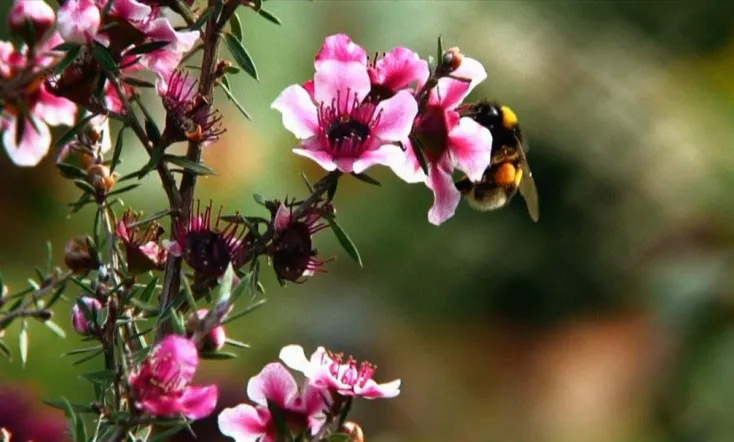 Our Necessity for Comfort