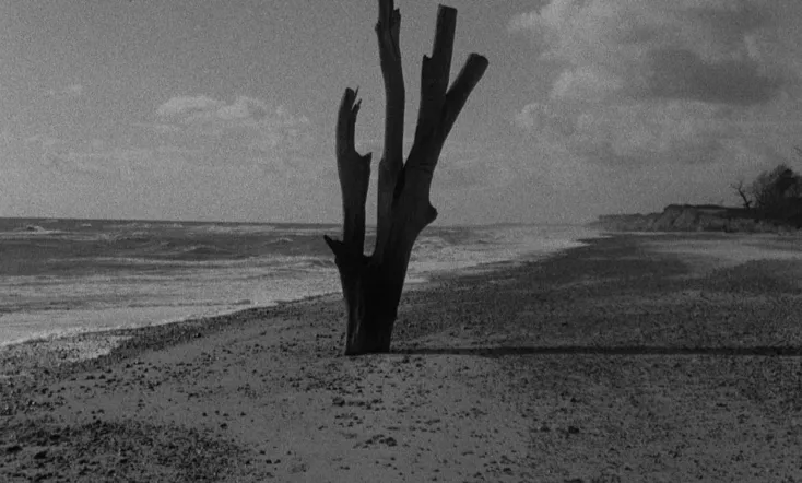 Patience (After Sebald)