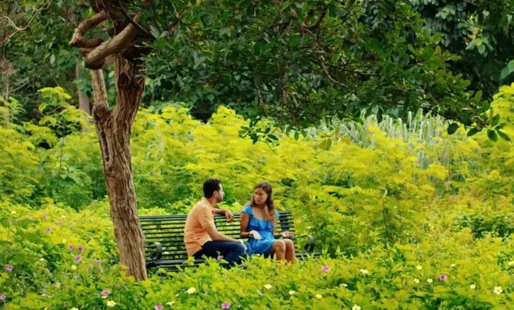 Patricia: el regreso del sueño