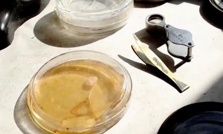 Penicillin: A Medical Revolution