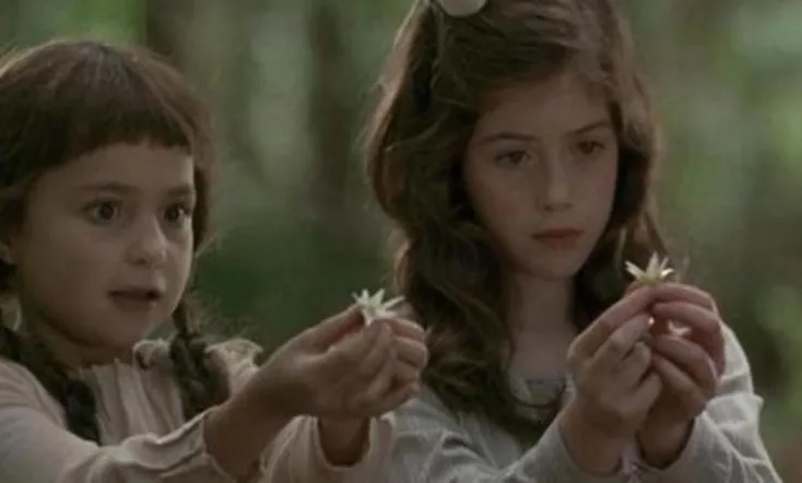 Photographing Fairies