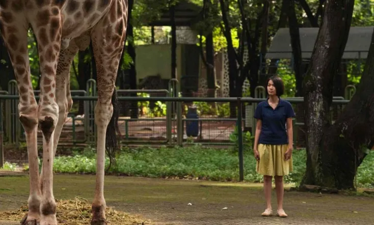 Postcards from the Zoo