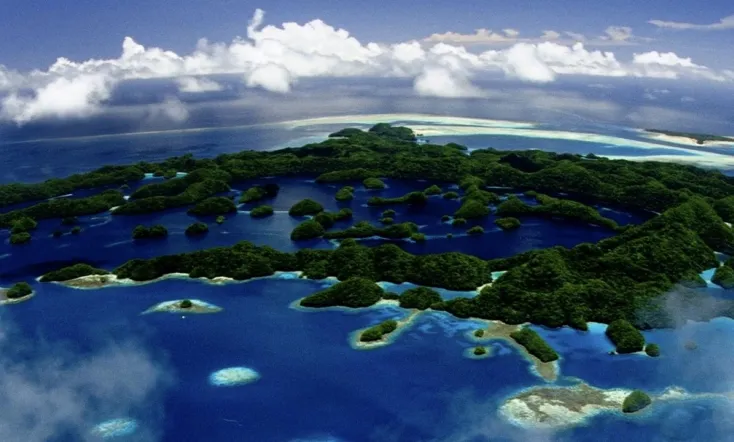 Pristine Seas: The Power of Protection