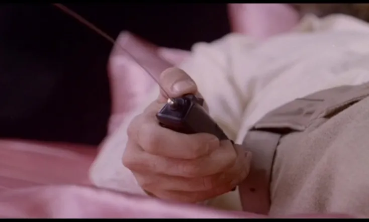 Programmed for Pleasure