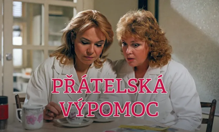 Přátelská výpomoc