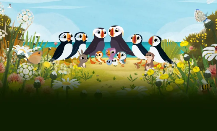 Puffin Rock and the New Friends