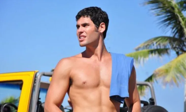 Qualquer Gato Vira-Lata