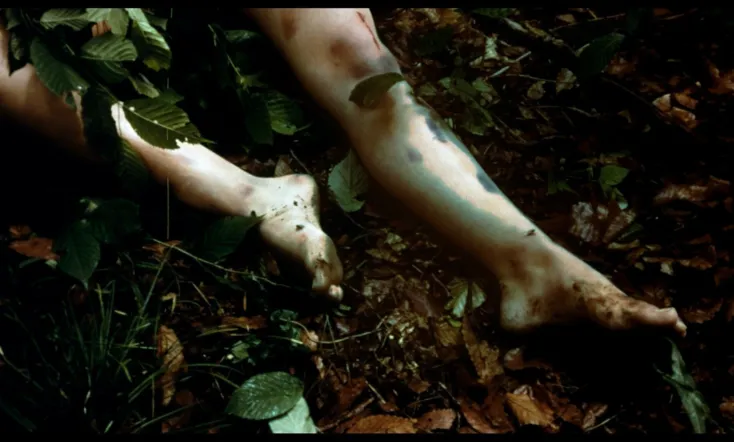 Recommendation for Mercy