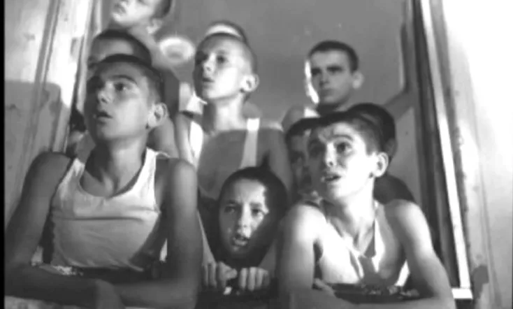 Red Poppies on the Wall