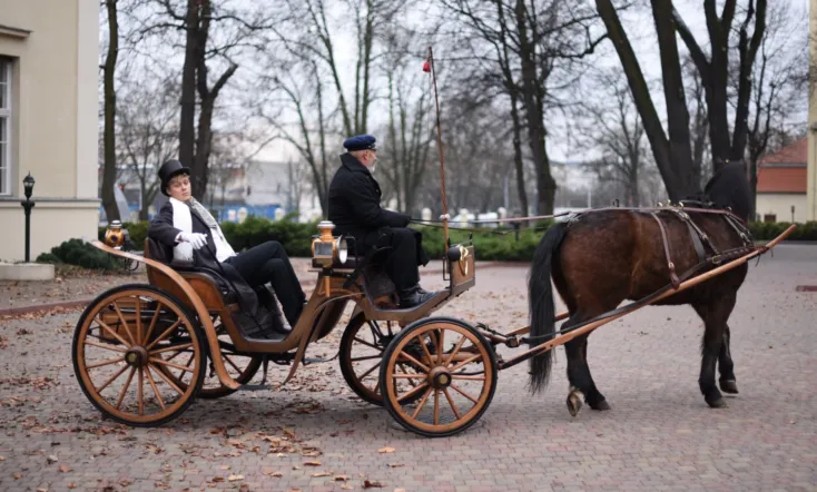 Return of the Reveller