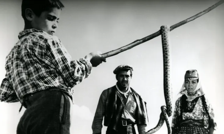 Revenge of the Snakes