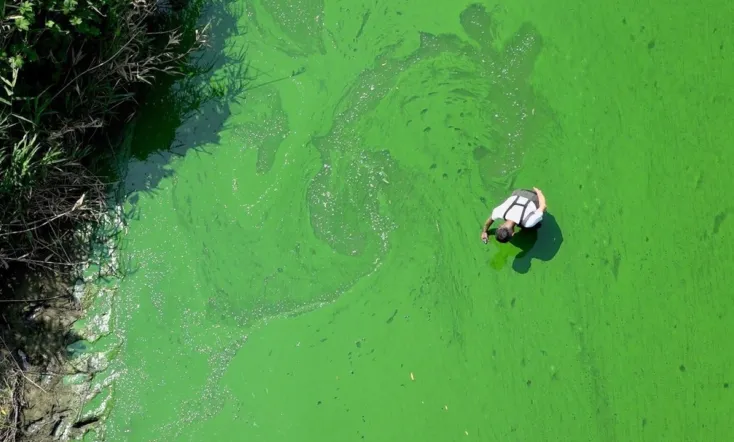 Rivercide: The Secret Six