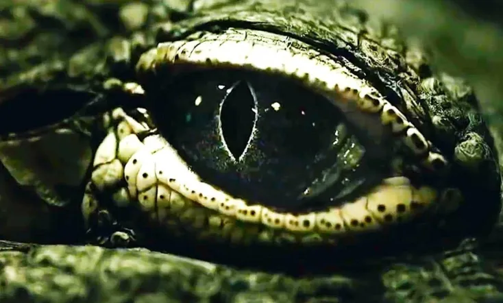 Saltwater: The Battle for Ramree Island