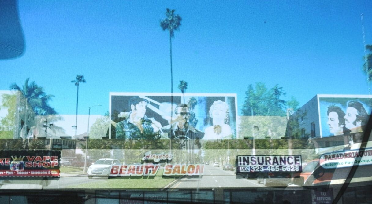 Same/Different/Both/Neither