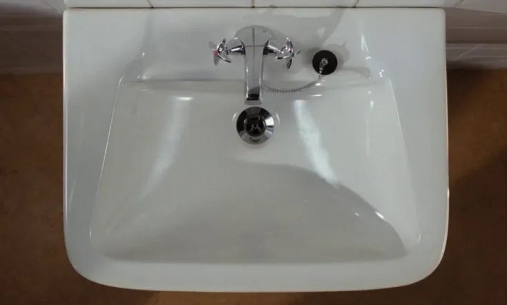 Scenes from the Life of a Wash-Basin